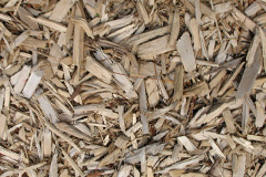 biomass boilers Fintry